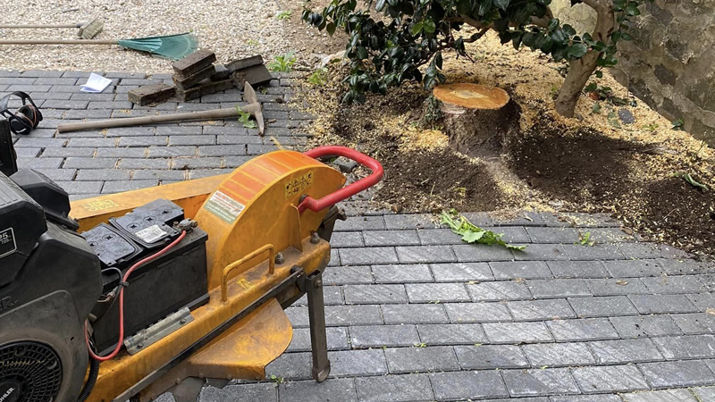 North Wales Stump Grinding